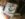D9FAB7A9-7193-4FA0-92A1-EE23E3E10B12.jpeg