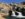 BAC73244-EE07-49AB-A25E-4038B6209989.jpeg