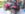 54117DD6-2EAE-45CF-A2A3-BA5FA0008751.jpeg