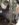 B8371319-010D-4C5C-B2DC-7C0DA2A46436.jpeg