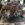 C1913CE0-6B76-40C3-8AB3-1F31FE295B79.jpeg