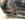 60AE1411-406F-418E-9BD2-684BFB59891C.jpeg