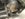 C7E55AE1-CEAF-46B1-9C1F-54065E61FBF8.jpeg