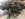 0841A714-C2FD-444C-9FBF-8EA6C684BBC5.jpeg