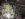 378F2F96-BDC1-4D2A-BD8A-009DCA38F119.jpeg