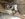 85E680C2-2497-478D-B8DB-4D29A43E4056.jpeg