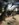 488DDD8D-CC20-47A2-9CF7-38C13433A1EB.jpeg