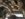 BD8939A9-95A8-49FF-A05F-B9307F52071F.jpeg