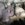 D3CCCC90-54DF-472E-903D-F675A65B9818.jpeg