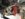 81972CE6-7AE8-49B3-B0AD-F02E399C2512.jpeg