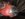 AA3D2DD7-326B-43F5-AFC1-5014B2E667D4.jpeg