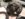 52E5E085-C9AB-4878-9663-D3C94F2750F6.jpeg