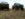 received_790737534386520.jpeg