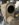 1F9F20F8-2102-4ABE-AEB8-1B50A09CFFAD.jpeg