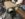 9D6AE76B-00AF-4DE9-B121-50BAA6C7124C.jpeg