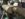 4A9DA632-AF26-4DED-8FC2-BE5E82257D8F.jpeg