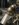 B5226EEC-4079-4A91-983A-88B61B3BC1B7.jpeg