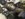 5D0FE0A1-8120-4C51-BA51-23AD62077B1F.jpeg
