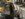 CB2D33B5-8822-4CB3-9BD4-FB507E51A018.jpeg
