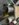 3B235F07-F41C-40B0-BE87-584DBD5668B4.jpeg