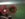 20180715_194226.jpg