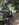 69B15D2A-B257-4129-B15C-622F29C562A6.jpeg