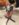 7AEB8977-898F-4D96-8EDD-B70DEB2AE216.jpeg