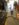 67C49B6D-CABC-493D-ADBB-07DE9314A54A.jpeg