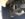 B774B80D-CCC5-4155-B934-184F91253492.jpeg