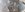 37805094_2259109104104351_4039586779643248640_o.jpg
