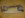 DSC00569.JPG