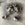 18C19CC0-D63F-4DBE-9B3C-EF56AD01FA9E.jpeg