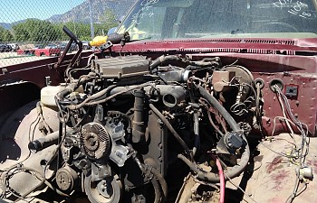 IMG_20180601_103320_01.jpg