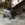 8BEC2B96-D944-46FA-8600-DA3864578911.jpeg