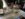 C461E6D2-A61A-4A5F-A43D-673FC1926622.jpeg