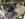 91BDA7D0-20B9-4D1B-B7F1-A25F61FE65F3.jpeg