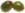 NCI_2_green_olives.jpg