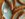 upload_2018-7-31_18-38-55.jpeg