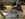 FAB08CCD-8BB6-498D-B496-0488649FBBB4.jpeg