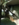 Untitled.png