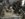 448DD661-EE4B-4D3E-B424-97B38AEAA943.jpeg