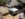 DF5DA39A-8282-4A16-ADF9-9612E2A69D48.jpeg