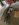 A473E178-9CAA-4930-8356-7EA89A0331F9.jpeg