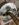 DDFFA08E-7C3E-40DB-A075-44C7725165B8.jpeg