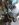 72EE48F9-91E9-49B8-B3F1-9CD50D11ACE4.jpeg