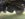 7C9A5D07-FA28-4325-9C2C-AB357168DC03.jpeg