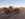 99D2BA26-324F-4E3D-8380-AEB970CCB2DA.jpeg