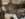 263BC6E4-56A1-47F8-8417-72006A2F9F3E.jpeg