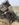 8329F7C6-33A9-46AC-8634-4A1B0C0F23B4.jpeg