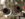 ED884C3B-7BB6-4628-9F0B-1807E89B7EA2.jpeg
